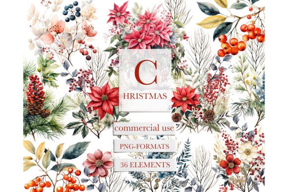Christmas Botanical Watercolor Clipart Review