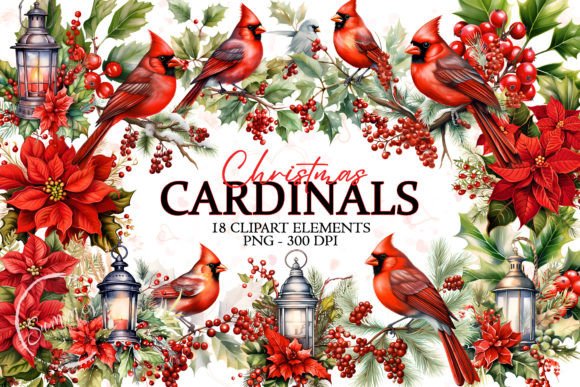 Christmas Cardinal Watercolor Clipart for Brand Illustrations