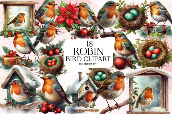 Christmas Robin Bird Clipart Bundle for Illustrations