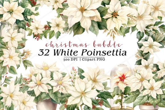 White Poinsettia Christmas Watercolor Illustrations for Publishers